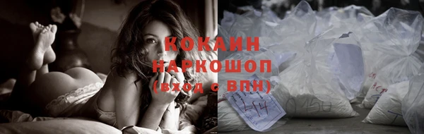 шишки Алзамай