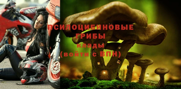 амфетамин Алексин