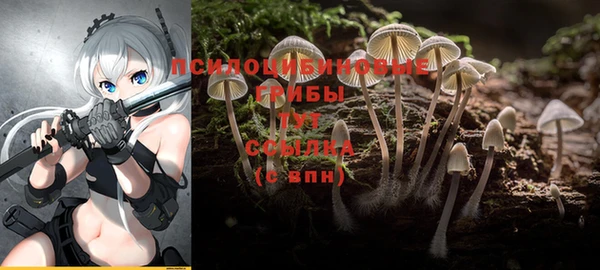шишки Алзамай