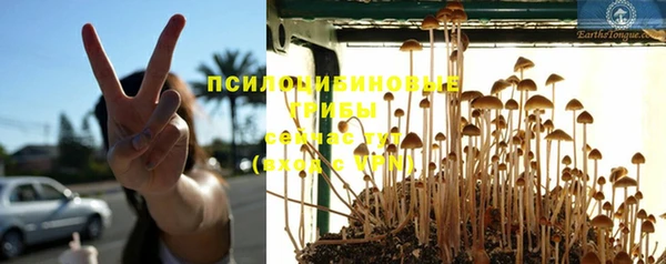 дурь Гусиноозёрск